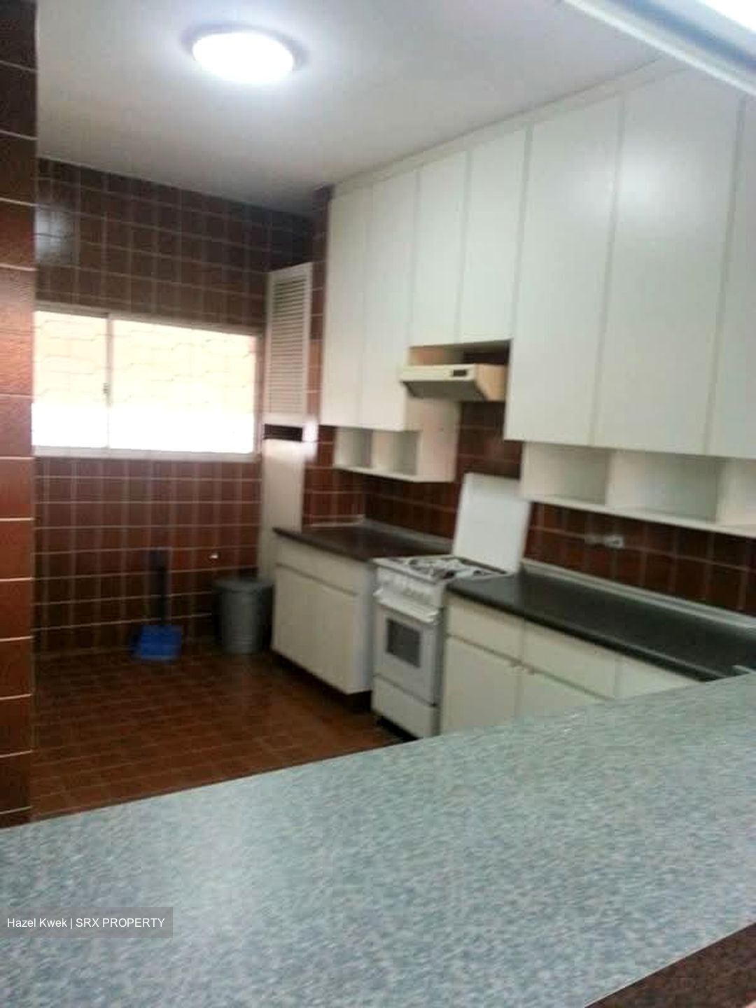 Ridgewood (D10), Condominium #597466281